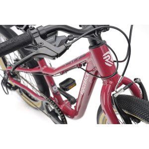 Dimension 20 Perfectly Plum 6 BIKE RB Dimension 20 Perfectly Plum 2