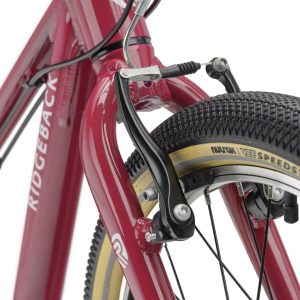 Dimension 20 Perfectly Plum 7 BIKE RB Dimension 20 Perfectly Plum 3