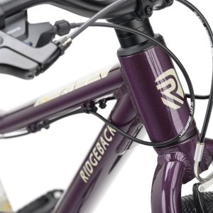 Dimension 24 Vanquish Violet 6 BIKE RB Dimension 24 Vanquish Violet 2